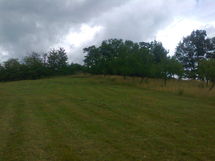 Fotografie1188 - EXCURSIE BOLOGA CLUJ NAPOCA