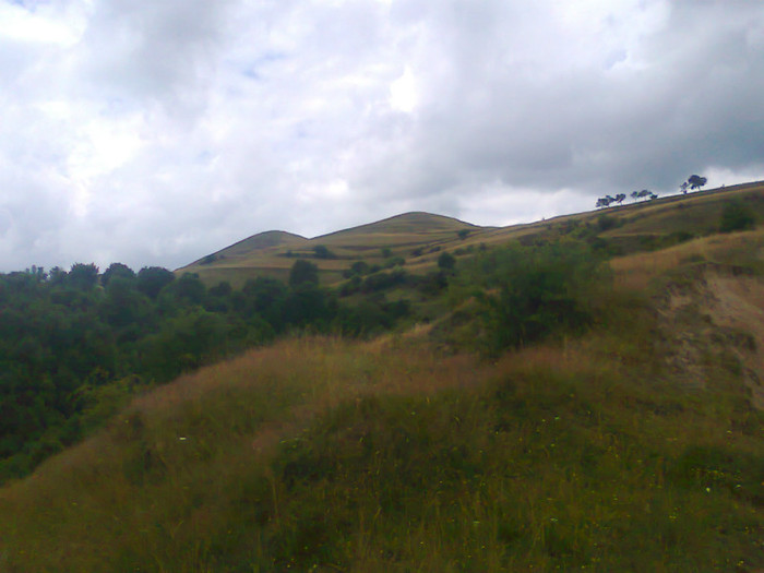 Fotografie1190 - EXCURSIE BOLOGA CLUJ NAPOCA