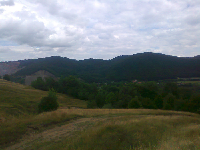 Fotografie1191 - EXCURSIE BOLOGA CLUJ NAPOCA