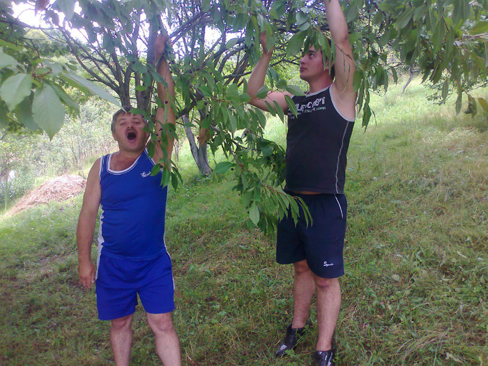 Fotografie1244 - EXCURSIE BOLOGA CLUJ NAPOCA