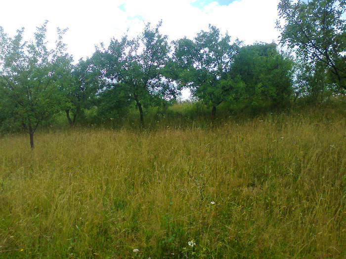 Fotografie1248 - EXCURSIE BOLOGA CLUJ NAPOCA