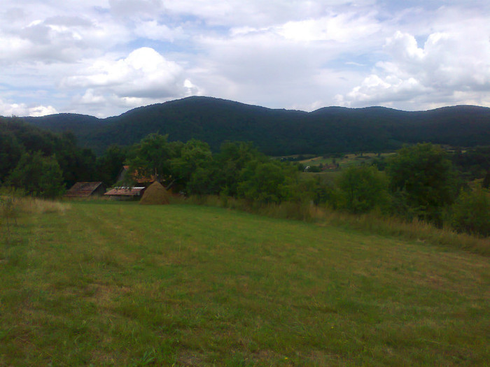 Fotografie1252 - EXCURSIE BOLOGA CLUJ NAPOCA