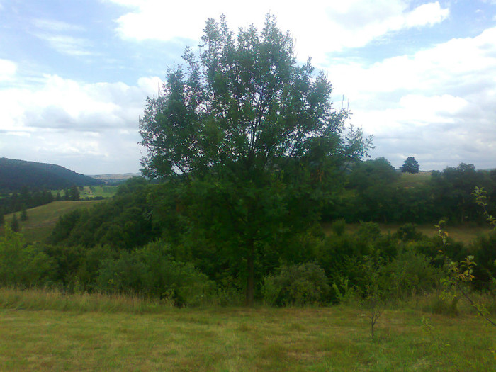 Fotografie1253 - EXCURSIE BOLOGA CLUJ NAPOCA