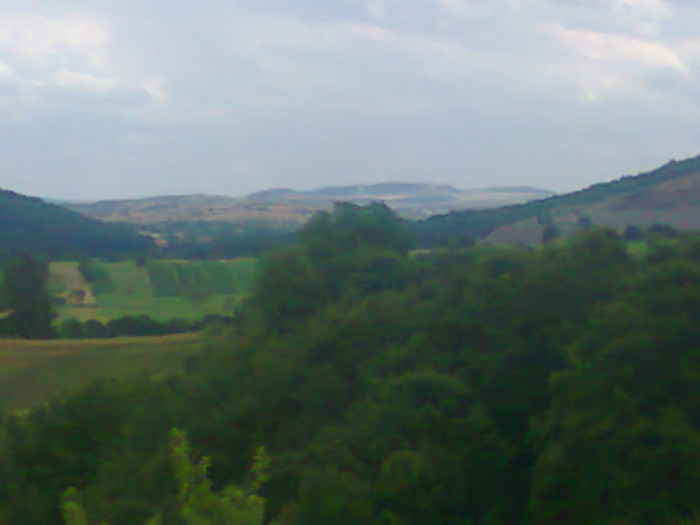 Fotografie1254 - EXCURSIE BOLOGA CLUJ NAPOCA