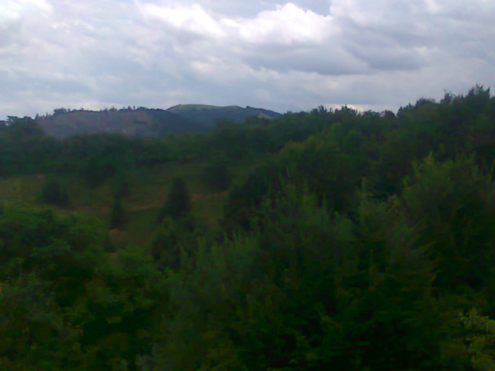 Fotografie1260 - EXCURSIE BOLOGA CLUJ NAPOCA