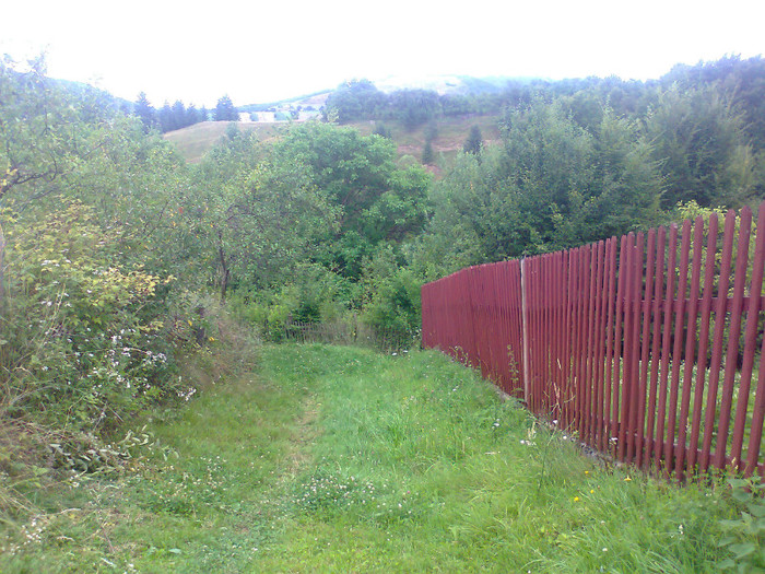 Fotografie1261 - EXCURSIE BOLOGA CLUJ NAPOCA