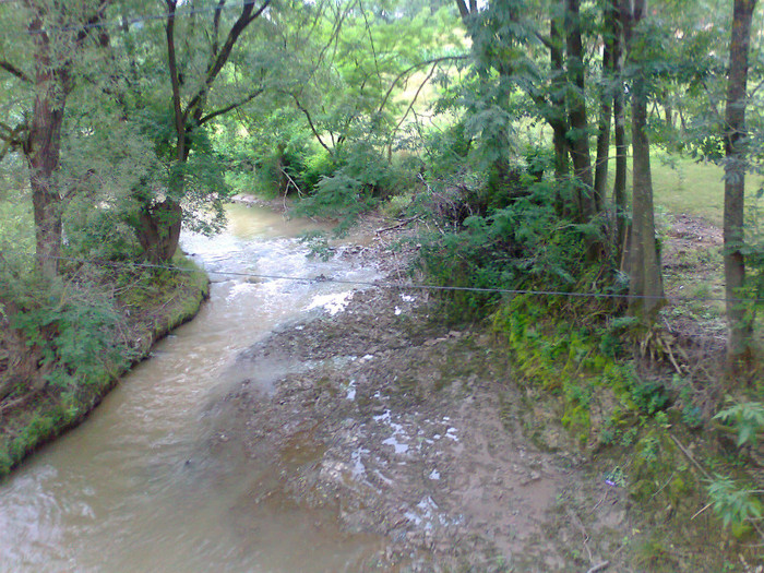 Fotografie1293 - EXCURSIE BOLOGA CLUJ NAPOCA