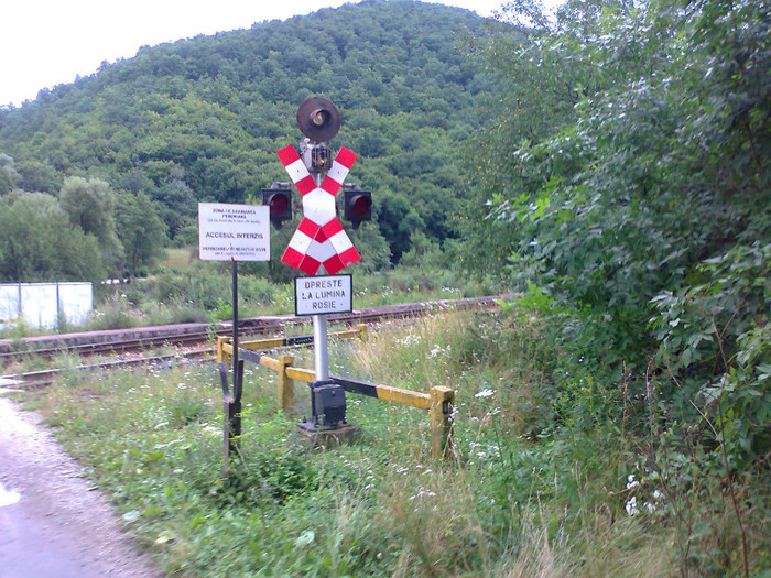 Fotografie1294 - EXCURSIE BOLOGA CLUJ NAPOCA