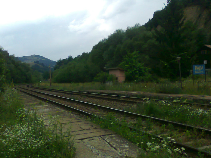 Fotografie1295 - EXCURSIE BOLOGA CLUJ NAPOCA