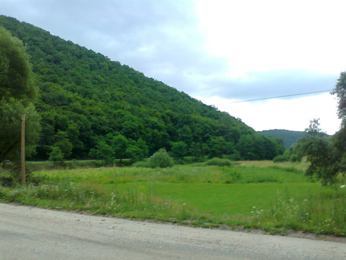 Fotografie1298 - EXCURSIE BOLOGA CLUJ NAPOCA