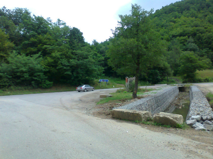 Fotografie1299 - EXCURSIE BOLOGA CLUJ NAPOCA