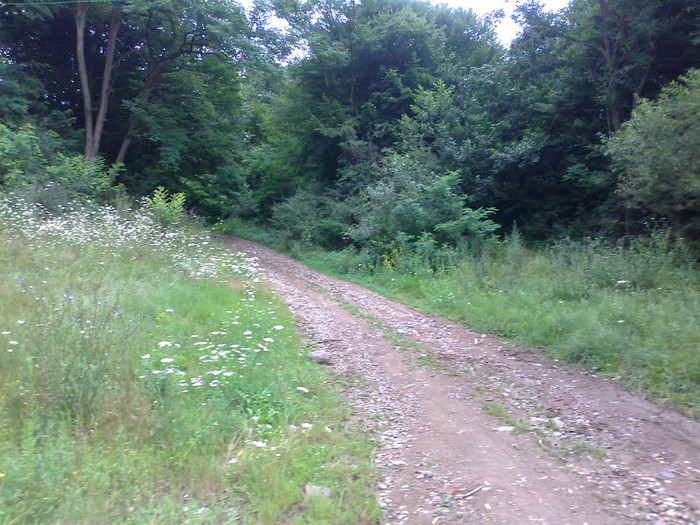 Fotografie1301 - EXCURSIE BOLOGA CLUJ NAPOCA