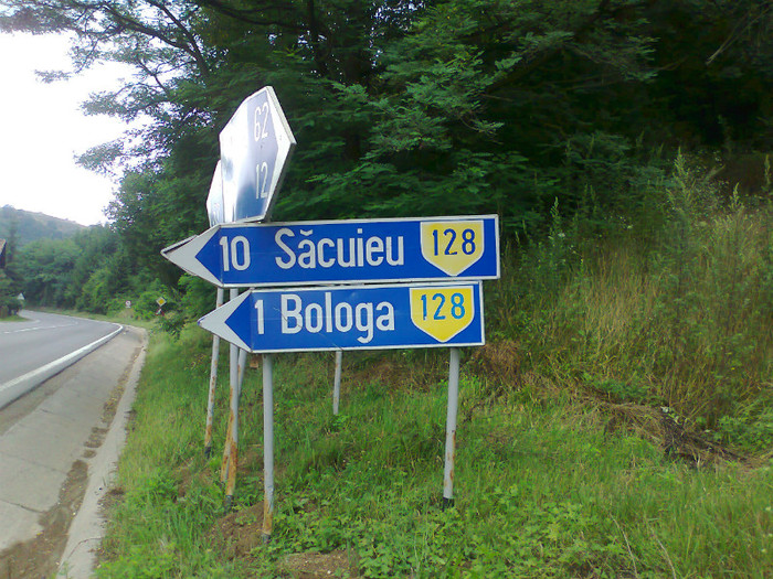 Fotografie1306 - EXCURSIE BOLOGA CLUJ NAPOCA