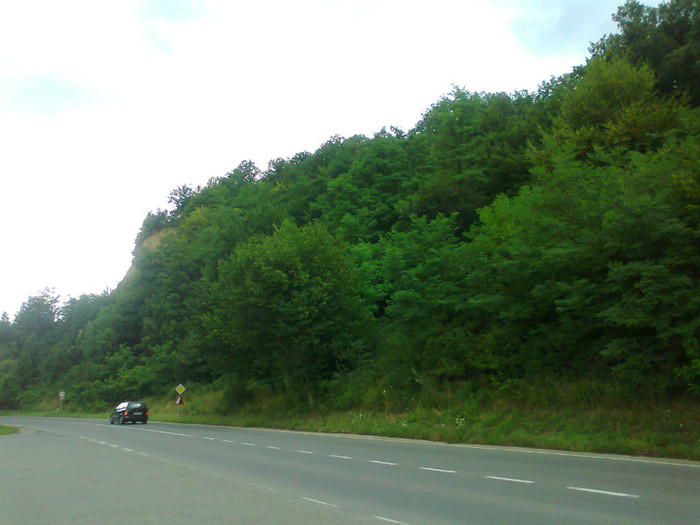 Fotografie1309 - EXCURSIE BOLOGA CLUJ NAPOCA