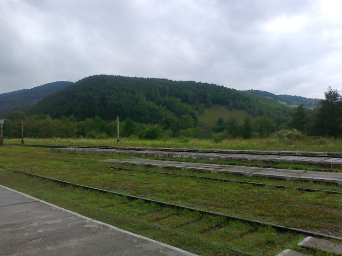 Fotografie1311 - EXCURSIE BOLOGA CLUJ NAPOCA