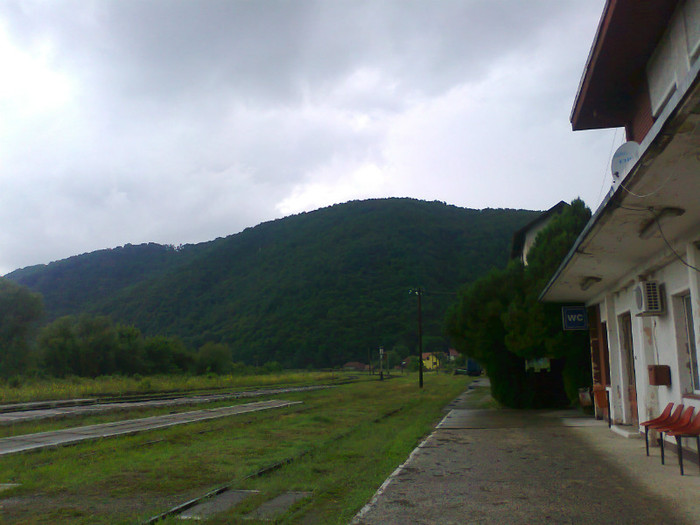 Fotografie1312 - EXCURSIE BOLOGA CLUJ NAPOCA