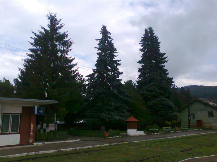 Fotografie1316 - EXCURSIE BOLOGA CLUJ NAPOCA