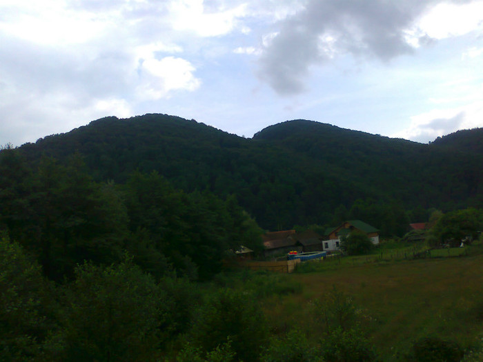 Fotografie1320 - EXCURSIE BOLOGA CLUJ NAPOCA