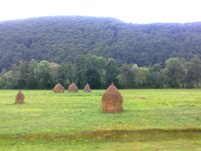 Fotografie1324 - EXCURSIE BOLOGA CLUJ NAPOCA