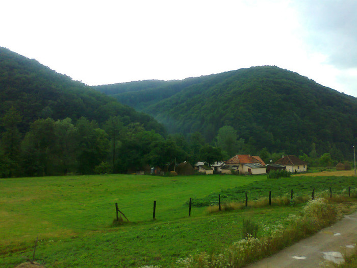 Fotografie1325 - EXCURSIE BOLOGA CLUJ NAPOCA