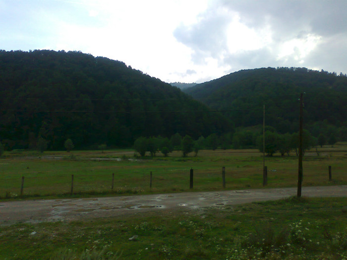 Fotografie1329 - EXCURSIE BOLOGA CLUJ NAPOCA