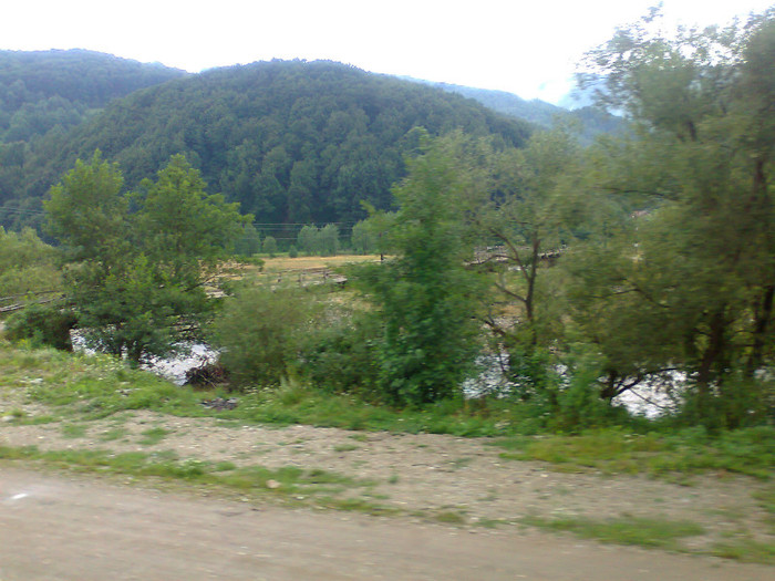 Fotografie1331 - EXCURSIE BOLOGA CLUJ NAPOCA