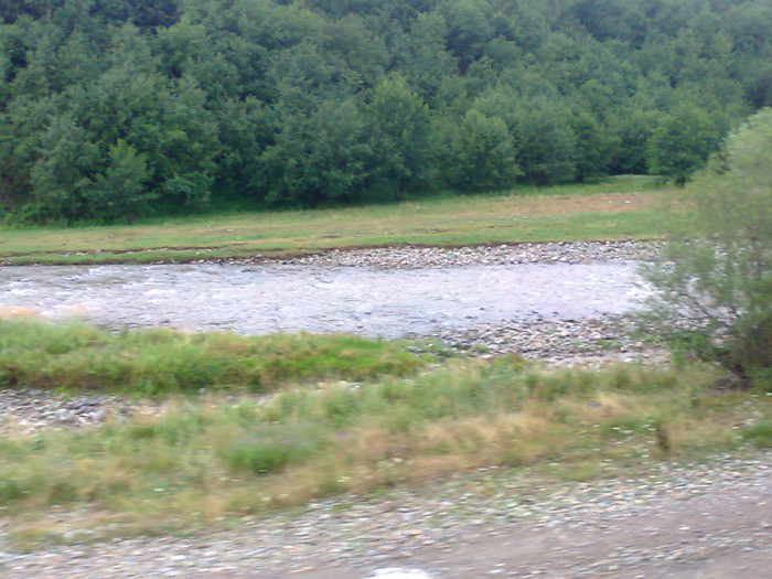 Fotografie1334 - EXCURSIE BOLOGA CLUJ NAPOCA