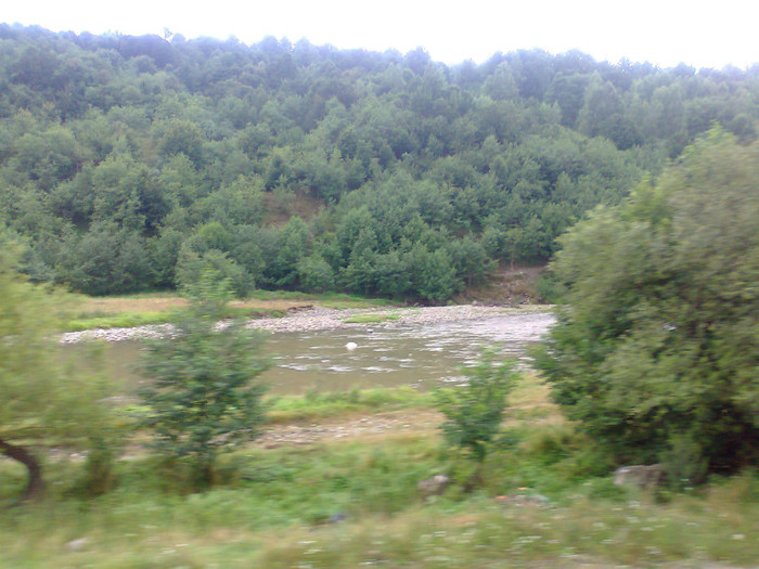 Fotografie1335 - EXCURSIE BOLOGA CLUJ NAPOCA