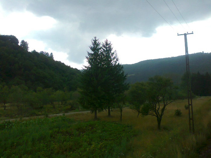 Fotografie1337 - EXCURSIE BOLOGA CLUJ NAPOCA