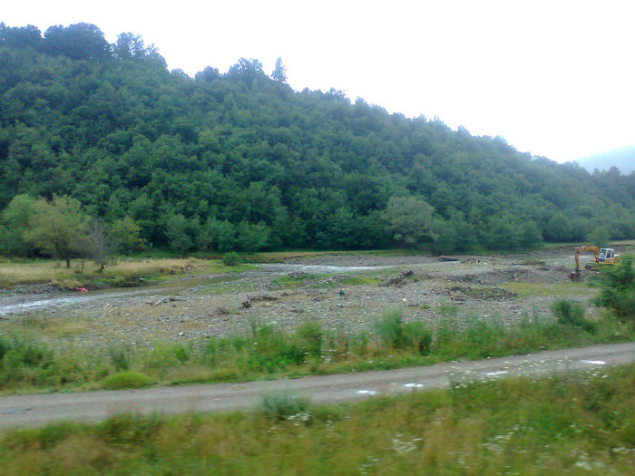 Fotografie1338 - EXCURSIE BOLOGA CLUJ NAPOCA