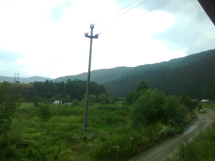 Fotografie1339 - EXCURSIE BOLOGA CLUJ NAPOCA