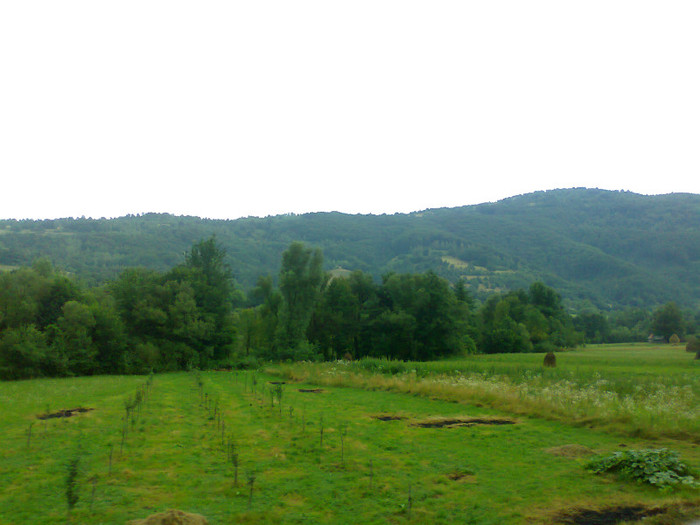 Fotografie1340 - EXCURSIE BOLOGA CLUJ NAPOCA