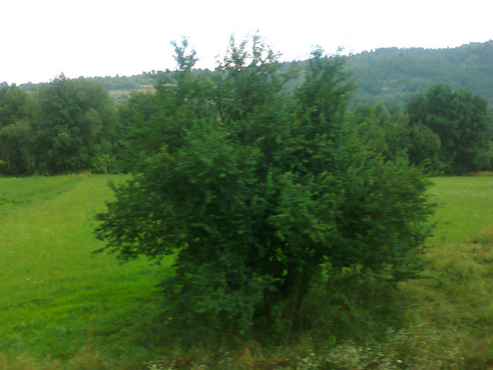 Fotografie1341 - EXCURSIE BOLOGA CLUJ NAPOCA