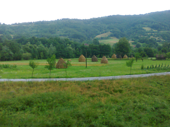 Fotografie1342 - EXCURSIE BOLOGA CLUJ NAPOCA