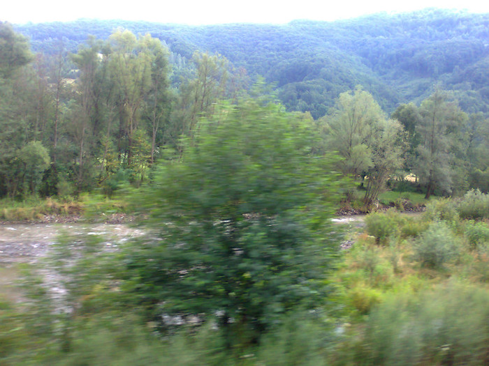 Fotografie1344 - EXCURSIE BOLOGA CLUJ NAPOCA