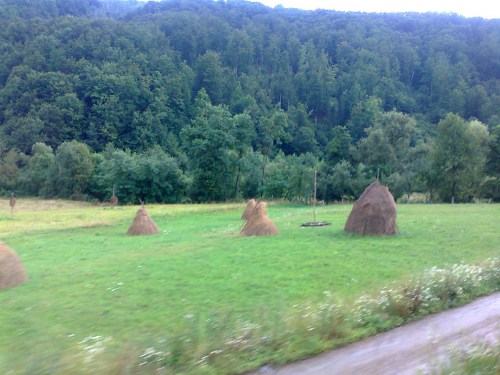 Fotografie1346 - EXCURSIE BOLOGA CLUJ NAPOCA