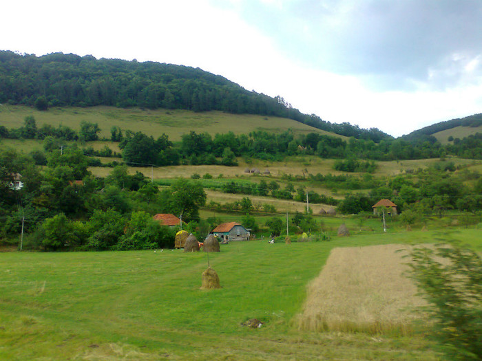 Fotografie1349 - EXCURSIE BOLOGA CLUJ NAPOCA