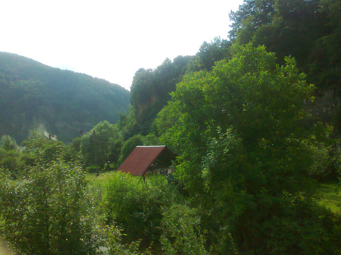 Fotografie1351 - EXCURSIE BOLOGA CLUJ NAPOCA