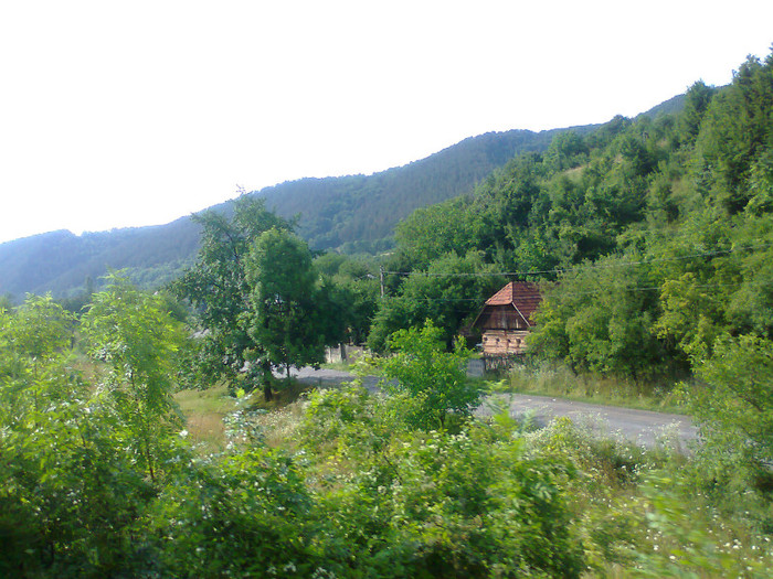 Fotografie1352 - EXCURSIE BOLOGA CLUJ NAPOCA