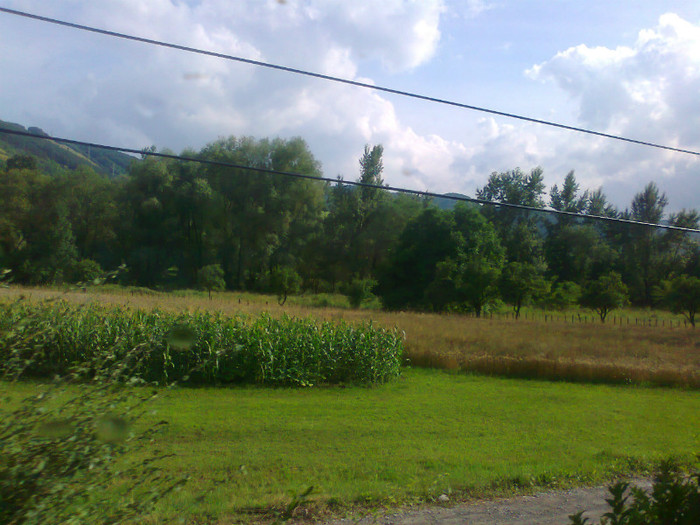 Fotografie1353 - EXCURSIE BOLOGA CLUJ NAPOCA