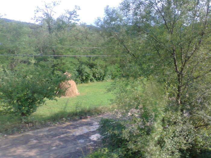 Fotografie1354 - EXCURSIE BOLOGA CLUJ NAPOCA