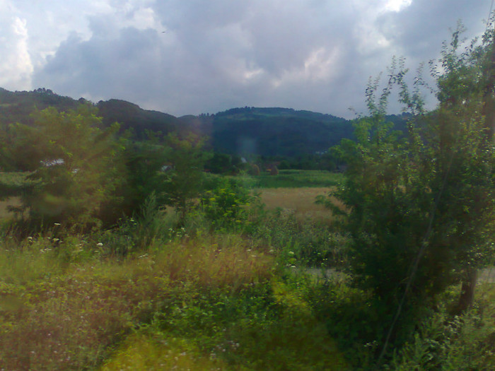 Fotografie1356 - EXCURSIE BOLOGA CLUJ NAPOCA