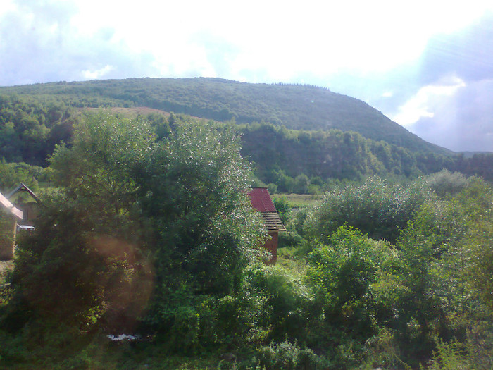 Fotografie1360 - EXCURSIE BOLOGA CLUJ NAPOCA