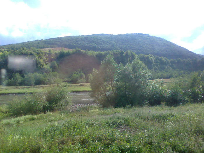 Fotografie1361 - EXCURSIE BOLOGA CLUJ NAPOCA
