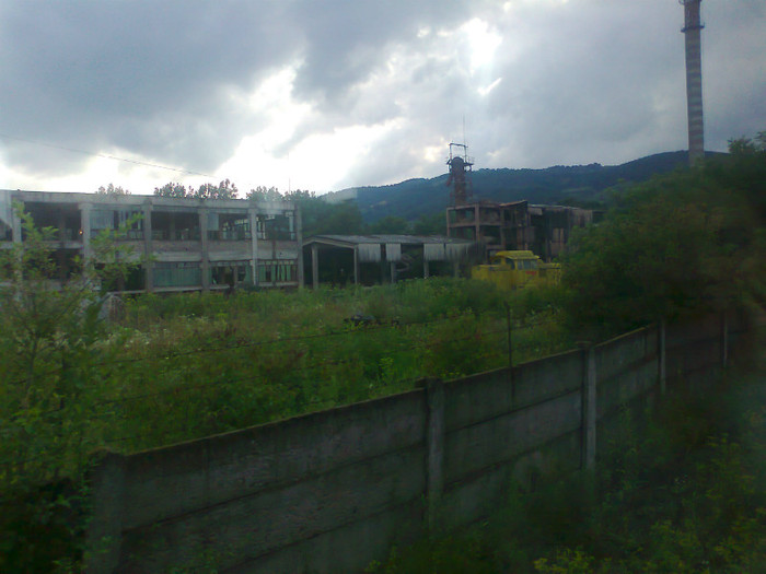 Fotografie1365 - EXCURSIE BOLOGA CLUJ NAPOCA