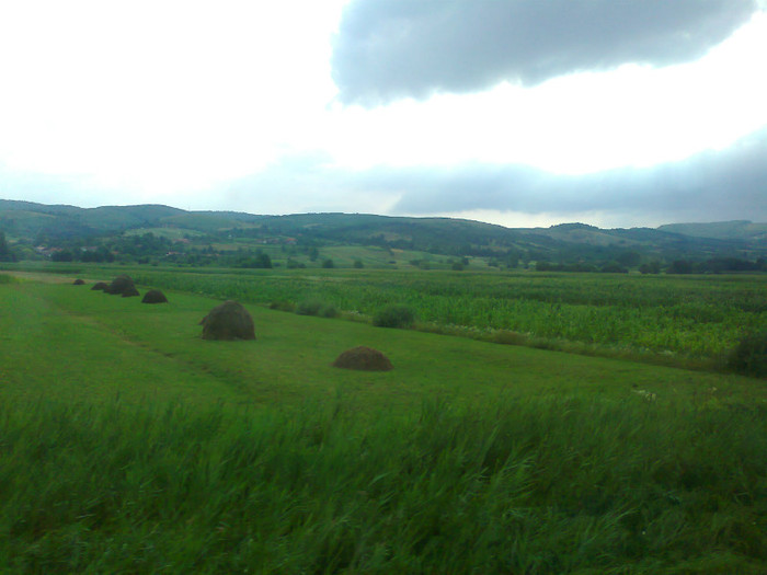 Fotografie1367 - EXCURSIE BOLOGA CLUJ NAPOCA