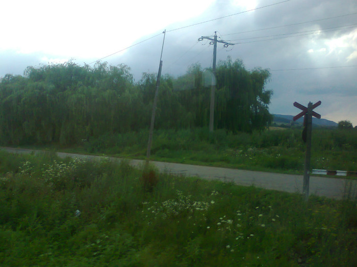 Fotografie1369 - EXCURSIE BOLOGA CLUJ NAPOCA