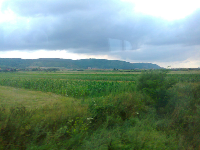 Fotografie1372 - EXCURSIE BOLOGA CLUJ NAPOCA