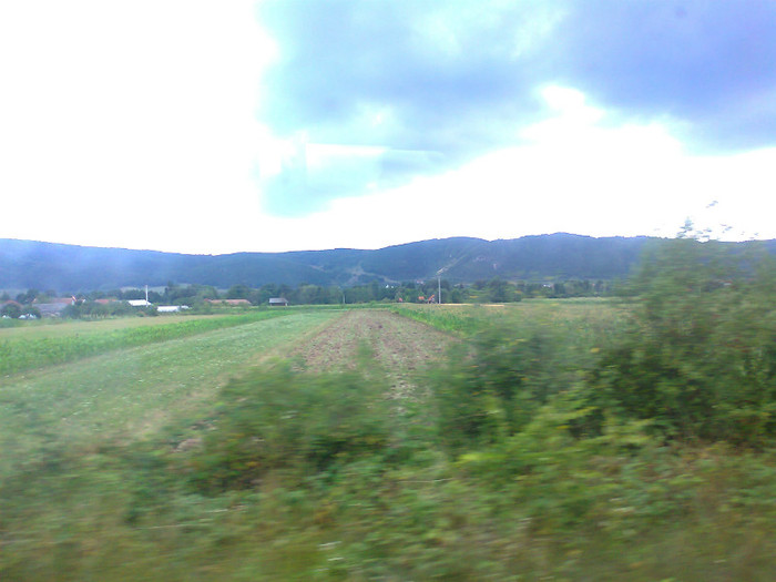 Fotografie1375 - EXCURSIE BOLOGA CLUJ NAPOCA