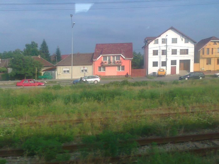 Fotografie1386 - EXCURSIE BOLOGA CLUJ NAPOCA